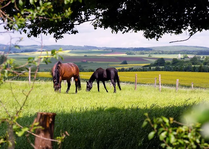 Hotel Zum Baecker Udenhain