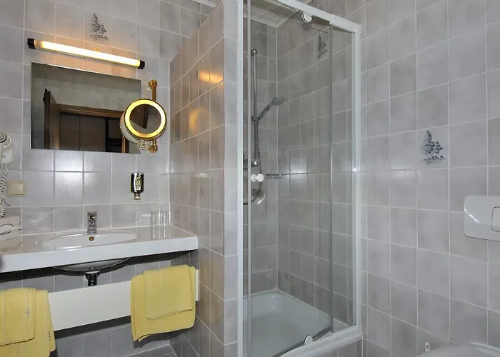 Hotel Zum Baecker 3*