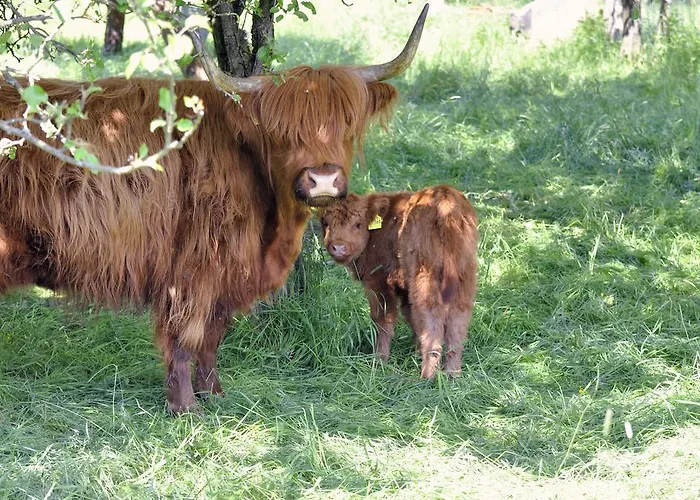 Hotel Zum Baecker 3*